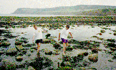 [Photo of a couple of idiots in the sea]